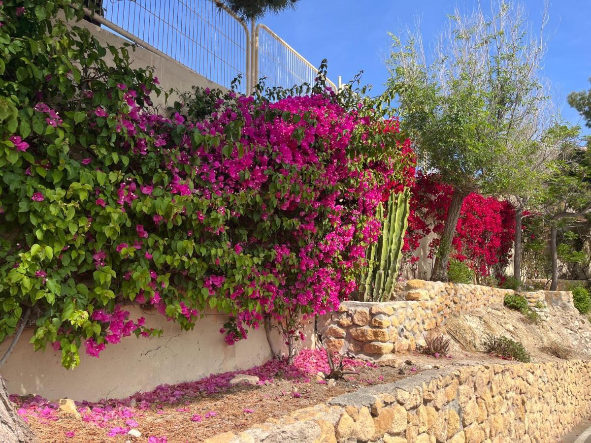 Roymar 14 Playa Apartment Benidorm Exterior photo